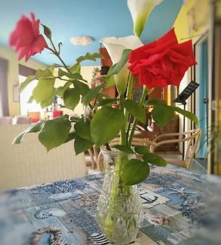 Camay Fogliano Marina